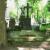 Nagrobek Tadeusza Szaniora na Cmentarzu Stare Powązki w Warszawie; fot.: https://cmentarze.um.warszawa.pl/pomnik.aspx?pom_id=18302 (dostęp 10.04.2021)