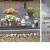 Nagrobek Floriana Jesionowskiego na Cmentarzu Półwieś w Opolu; fot.: http://opolepolwies.artlookgallery.com/grobonet/start.php?id=detale&idg=30718&inni=0&cinki=0 (dostęp 30.05.2021)